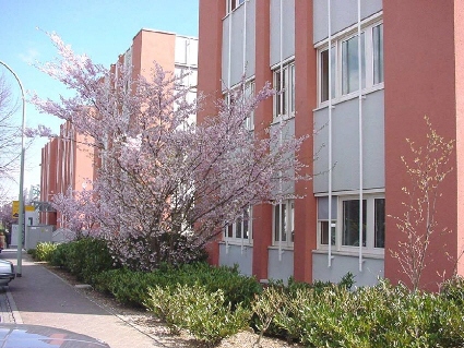 Fassade